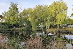 Ruislip Duck Pond image