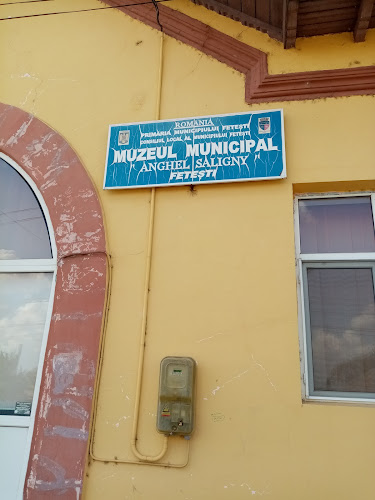 Muzeu Municipal Fetești - <nil>