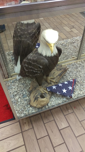 Sporting Goods Store «Kames Sports», reviews and photos, 8516 Cleveland Ave NW, North Canton, OH 44720, USA