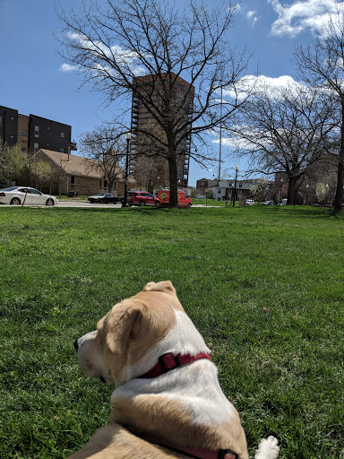 Park «Benedict Fountain Park», reviews and photos, 401 E 20th Ave, Denver, CO 80205, USA