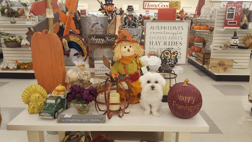 Department Store «HomeGoods», reviews and photos, 344 W Army Trail Rd, Bloomingdale, IL 60108, USA