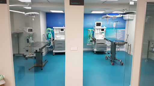 Hospital veterinario Retiro