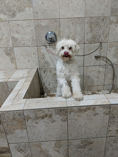 Pet Supply Store «The Natural Pet Outlet», reviews and photos, 3380 Fairfield Ave, Bridgeport, CT 06605, USA