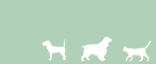 Pet Supply Store «The Naked Dog (Protein For Pets)», reviews and photos, 701 S Weir Canyon Rd #111, Anaheim, CA 92808, USA