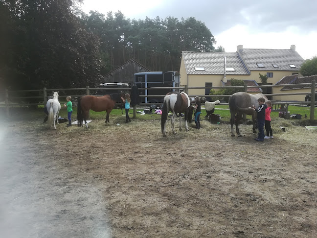 Melanie Wittockx - Coaching & therapie met paarden