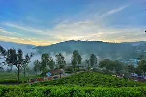 Ooty Tour Packages image