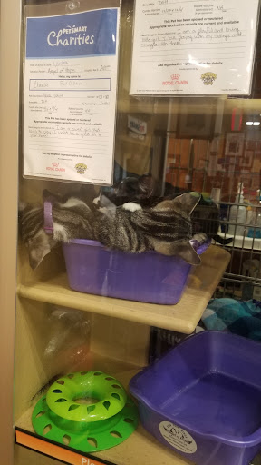 Pet Supply Store «PetSmart», reviews and photos, 8014 Old Carriage Ct, Shakopee, MN 55379, USA