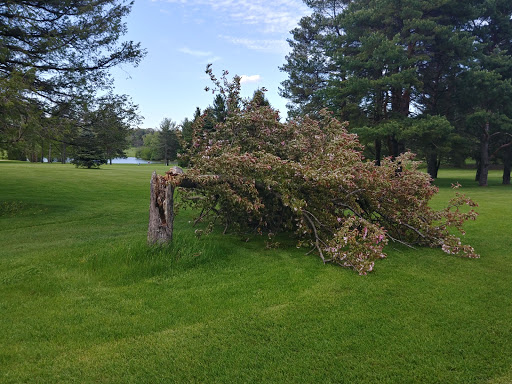 Golf Club «Odana Hills Golf Course», reviews and photos, 4635 Odana Rd, Madison, WI 53711, USA