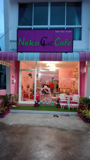 Neko Cat Cafe