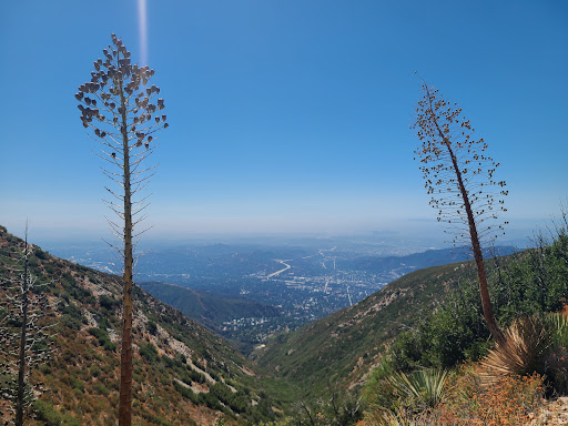Mt. Lukens Trailhead