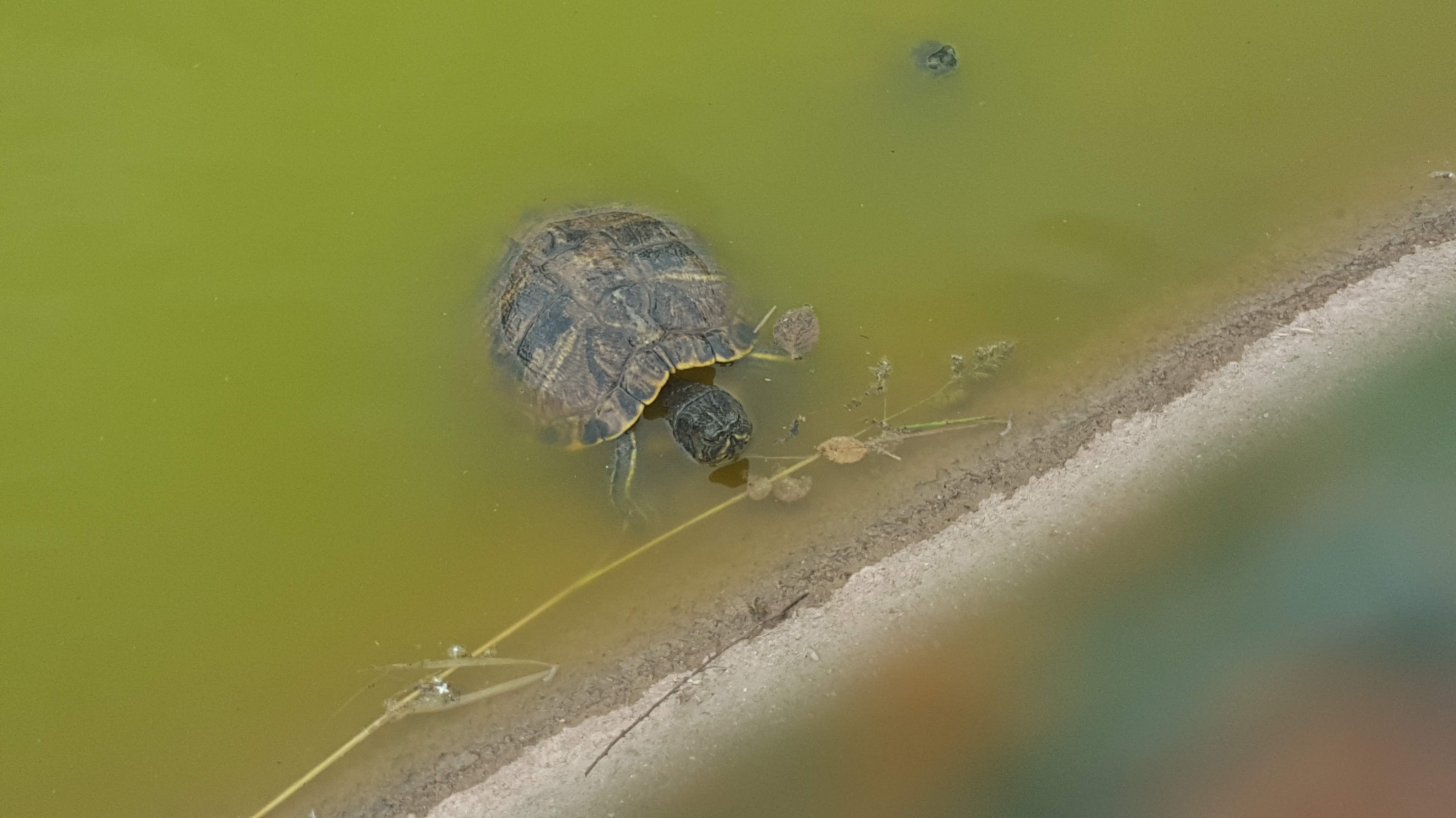 Photo n° 1 de l'avis de Eli. fait le 27/05/2018 à 18:47