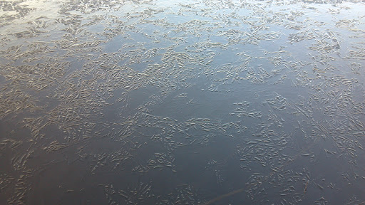 Park «Scriber Lake Park», reviews and photos, 5601 198th St SW, Lynnwood, WA 98036, USA