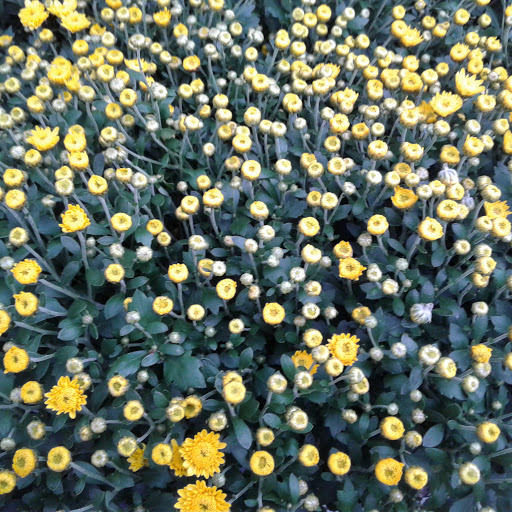 Home Improvement Store «The Home Depot», reviews and photos, 5410 Perkiomen Ave, Reading, PA 19606, USA