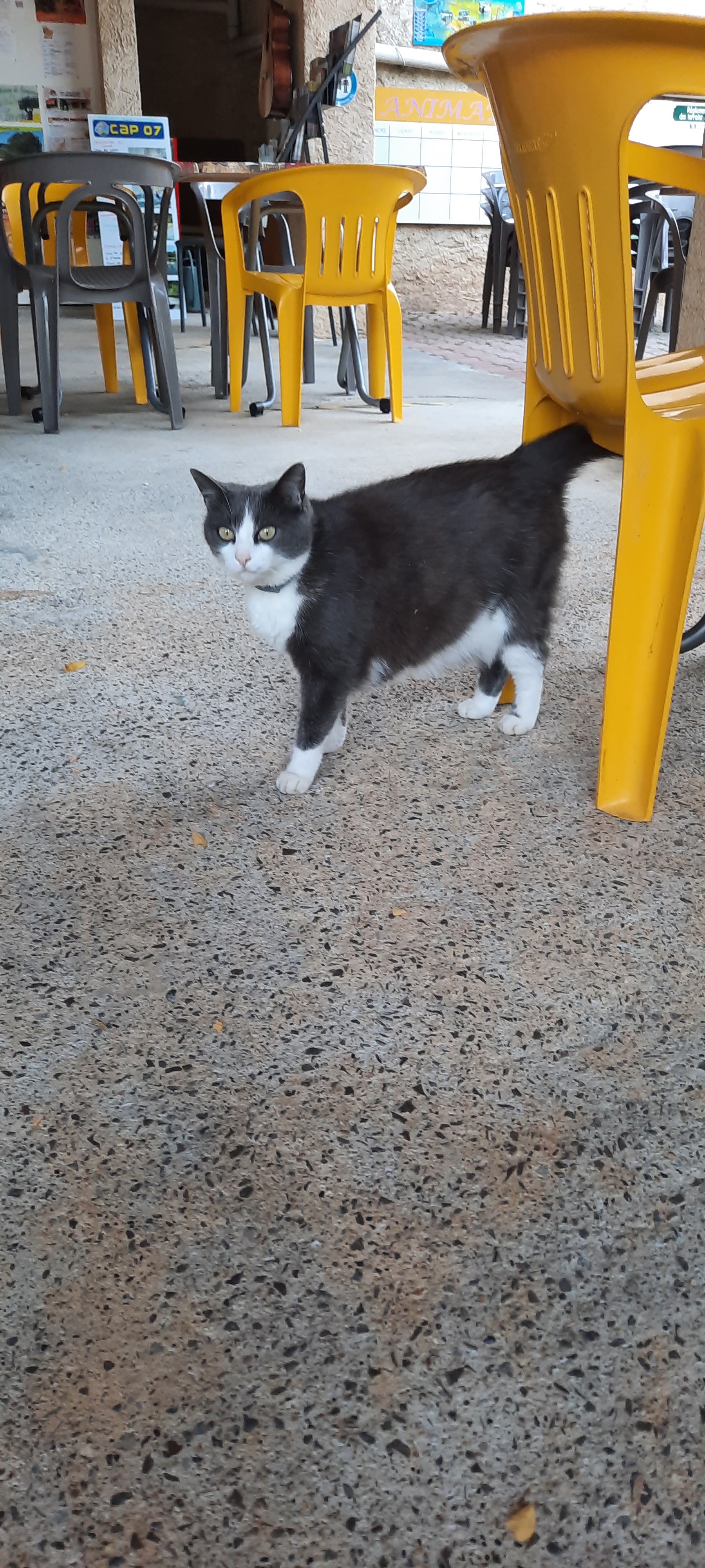Photo n° 3 de l'avis de Jean.m fait le 21/06/2021 à 14:59