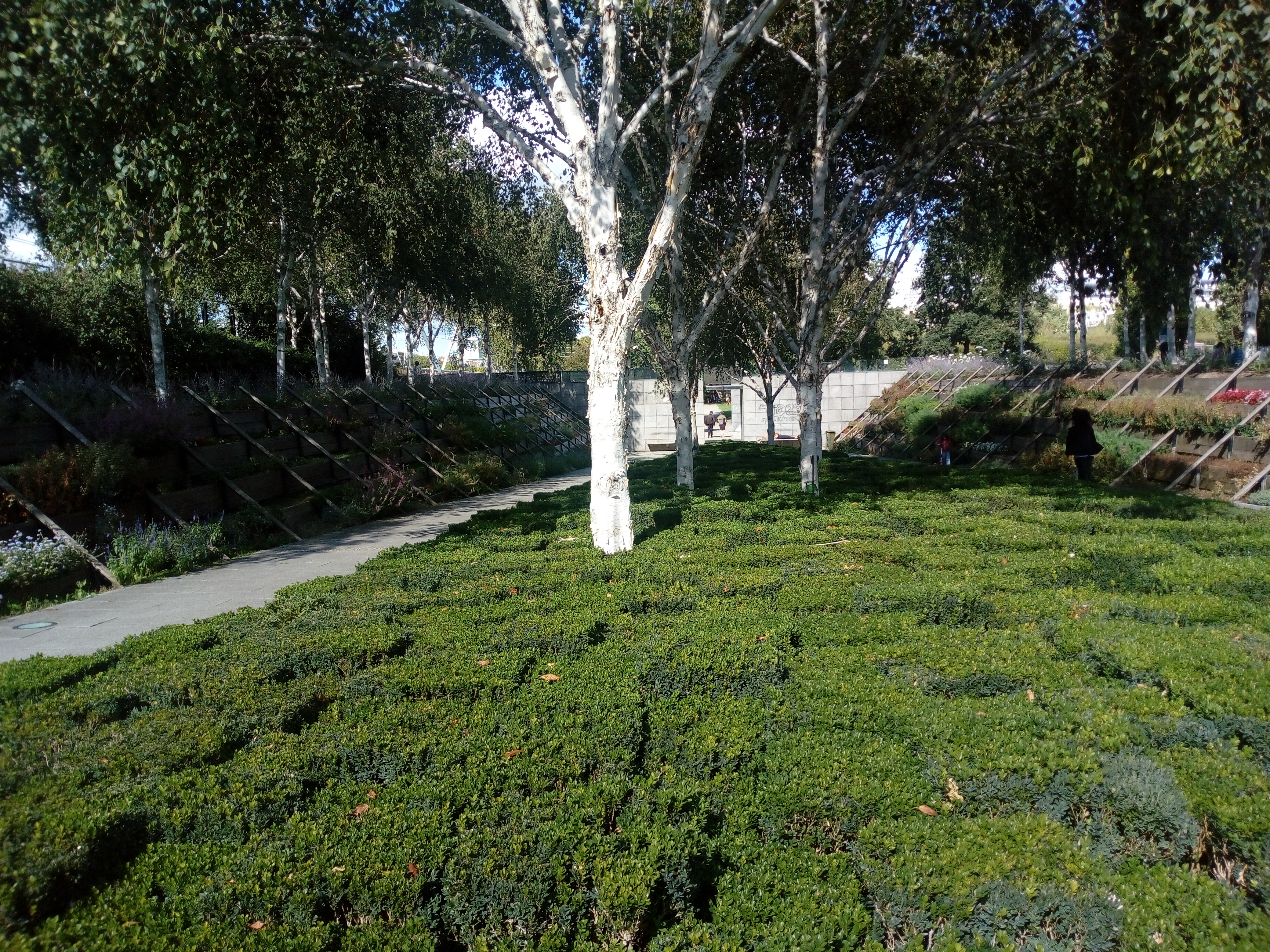 Photo n° 6 de l'avis de Pascal.a fait le 01/09/2019 à 17:37