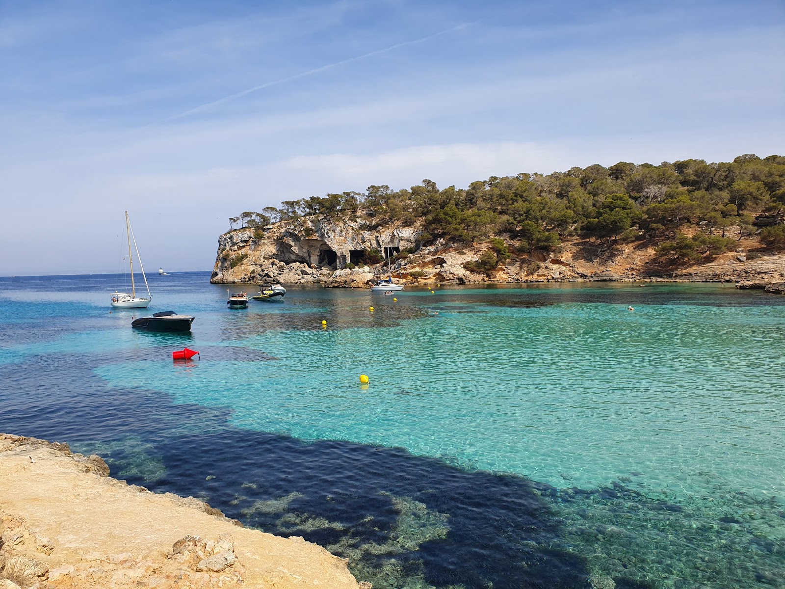 Foto af Cala Portals Vells med høj niveau af renlighed