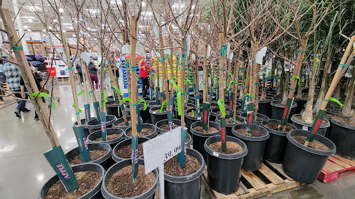 Warehouse store «Costco Wholesale», reviews and photos, 1051 Hume Way, Vacaville, CA 95687, USA