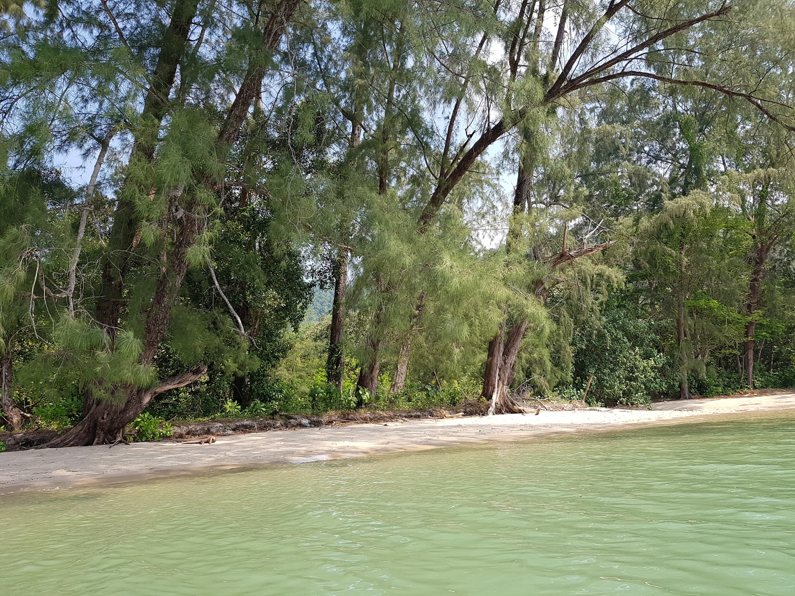 Son Bay Beach'in fotoğrafı çok temiz temizlik seviyesi ile