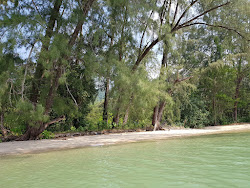 Son Bay Beach'in fotoğrafı çok temiz temizlik seviyesi ile
