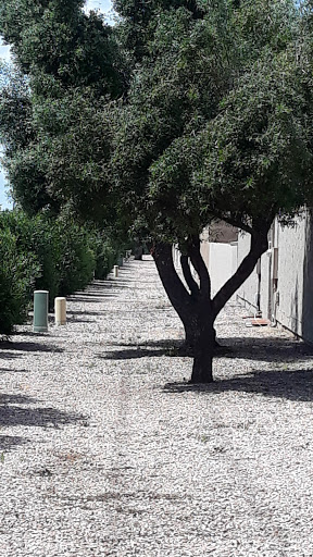 Golf Course «Coyote Run Golf Course», reviews and photos, 1548 Leisure World Blvd, Mesa, AZ 85206, USA