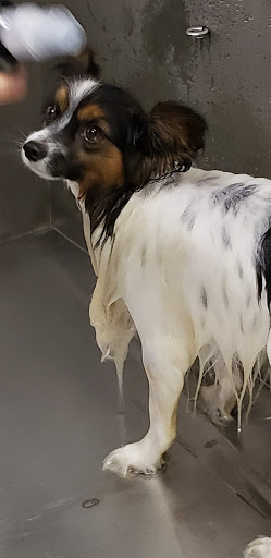 Pet Supply Store «Lemos Feed & Pet Supply», reviews and photos, 1320 Main St, Morro Bay, CA 93442, USA