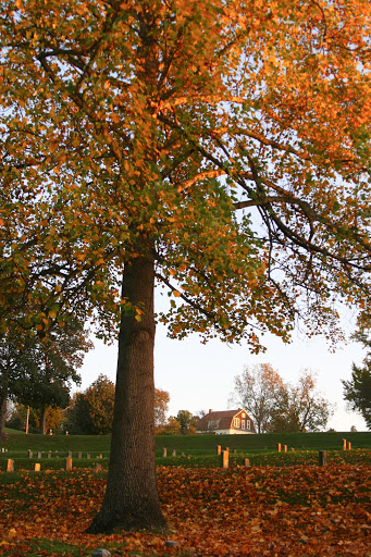 State Park «Vicksburg National Military Park», reviews and photos, 3201 Clay St, Vicksburg, MS 39183, USA