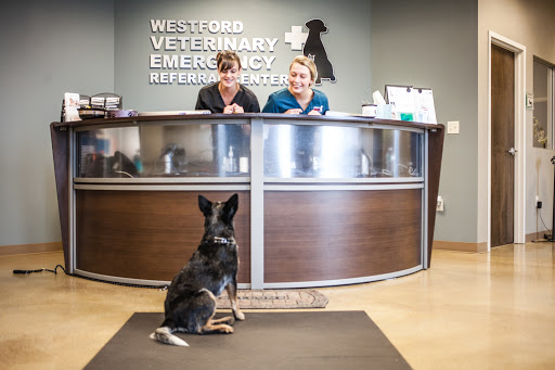 Westford Veterinary Emergency and Referral Center