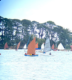 Photo n°20 de HUITRES MAISON MATHIEU D'ARC à Larmor-Baden ()