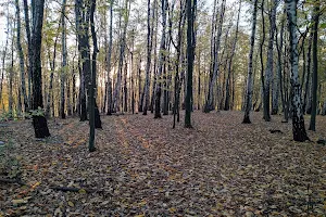 Las Książęcy image