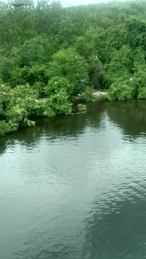 Amusement Park «Gatorland», reviews and photos, 14501 S Orange Blossom Trail, Orlando, FL 32837, USA