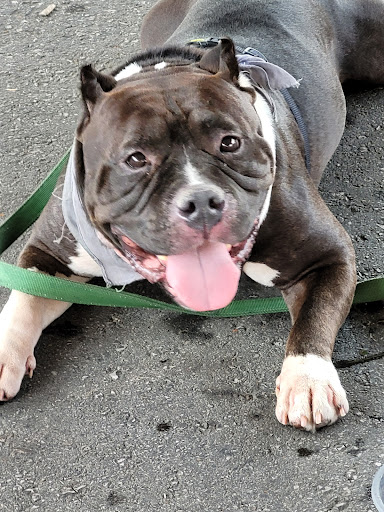 Market «Milwaukee Public Market», reviews and photos, 400 N Water St, Milwaukee, WI 53202, USA