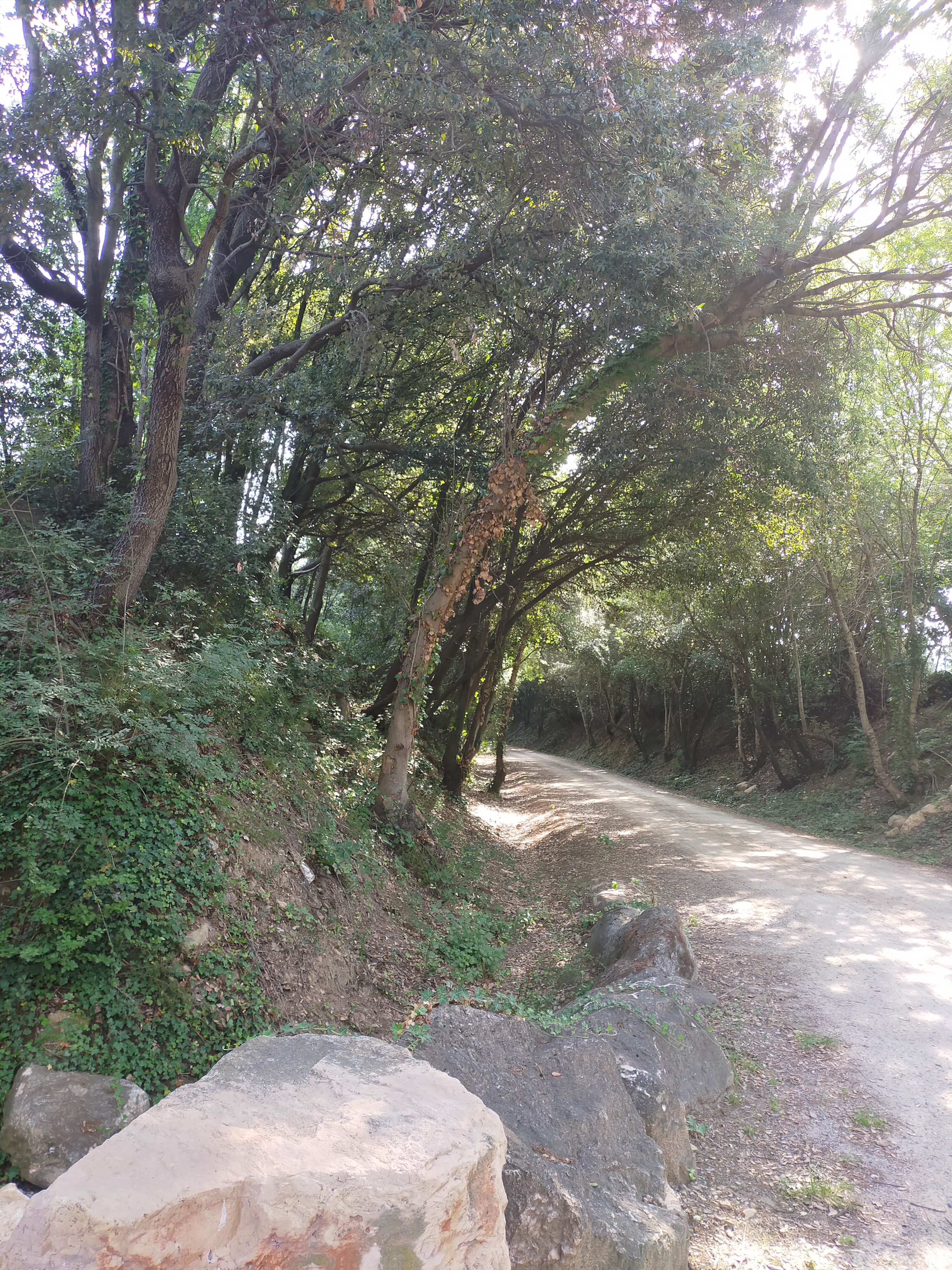 Photo n° 1 de l'avis de Anne.u fait le 24/07/2022 à 14:42