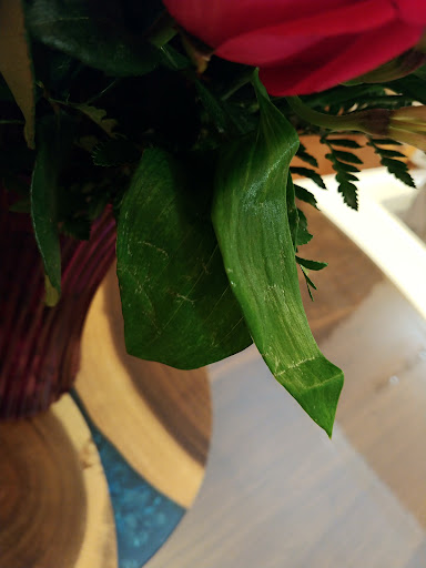 Florist «Montgomery Village Florist Inc», reviews and photos, 12162 Darnestown Rd, Gaithersburg, MD 20878, USA