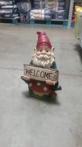 Department Store «Walmart Supercenter», reviews and photos, 2014 S Irby St, Florence, SC 29505, USA