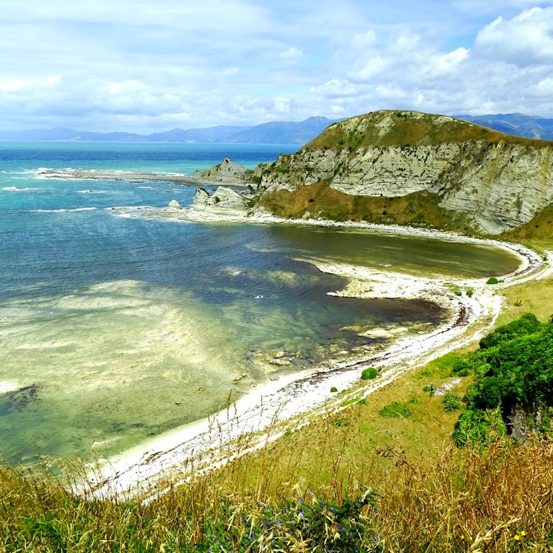 Kaikoura Peninsula Walkway