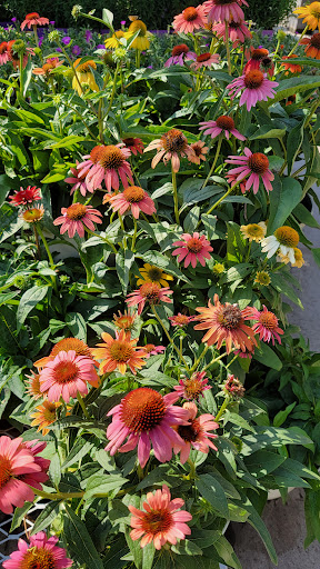 Home Improvement Store «The Home Depot», reviews and photos, 21010 Frederick Rd, Germantown, MD 20876, USA