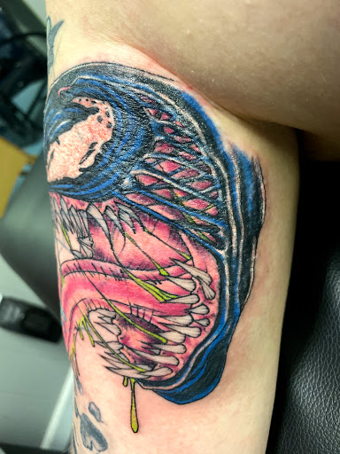 Tattoo Shop «The Tattoo Studio», reviews and photos, 3604 W Westview Blvd, Muncie, IN 47304, USA