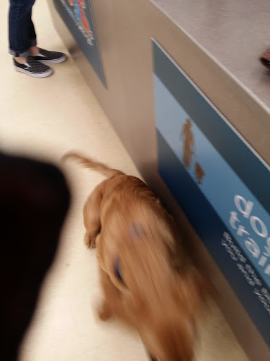 Pet Supply Store «Petco Animal Supplies», reviews and photos, 15660 SW Pacific Hwy, Tigard, OR 97224, USA