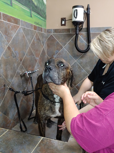 Pet Store «Pet Valu», reviews and photos, 604 Plaza Dr, Newark, DE 19702, USA