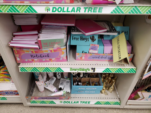 Dollar Store «Dollar Tree», reviews and photos, 528 North Ave, Glendale Heights, IL 60139, USA