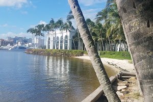 Discover The Palm Beaches