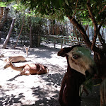 Photo n°12 de l'avis de Diego.a fait le 06/07/2020 à 11:58 sur le  Parc Gallorose à Loc. Cedrino