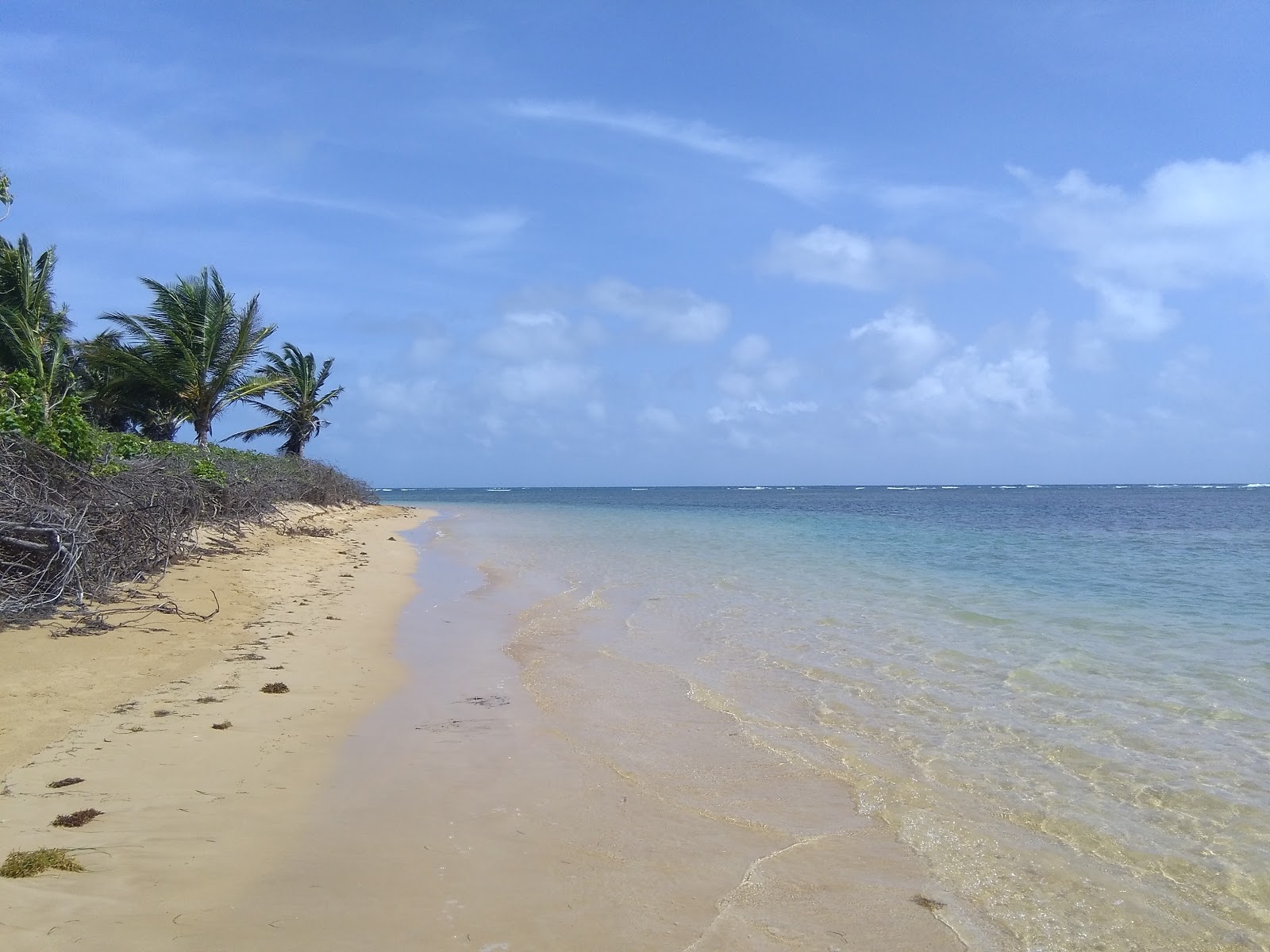 Foto di Spiaggia di Punta Bandera e l'insediamento