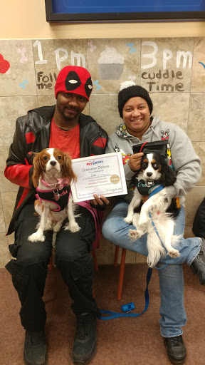 Pet Supply Store «PetSmart», reviews and photos, 369 Tarrytown Rd, White Plains, NY 10607, USA