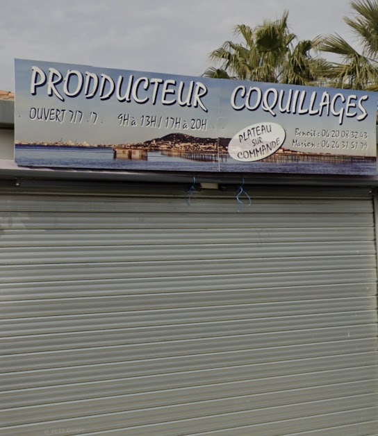 Prodducteur Coquillages à Marseillan (Hérault 34)