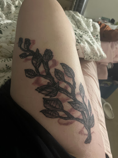 Explore medusa tattoo ideas female, creative tattoo ideas in Hampton, available at Blue Horseshoe Tattoo and Body Piercing