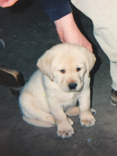 Golf Club «Heatherwoode Golf Club», reviews and photos, 88 Heatherwoode Blvd, Springboro, OH 45066, USA