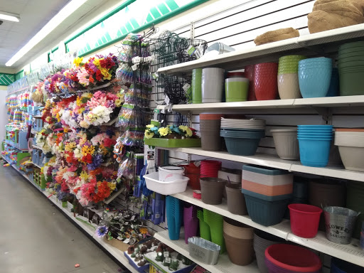 Dollar Store «Dollar Tree», reviews and photos, 1505 S Pacific Ave, San Pedro, CA 90731, USA