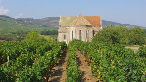 Magasin de vins et spiritueux Domaine Dessauge France Cheilly-lès-Maranges