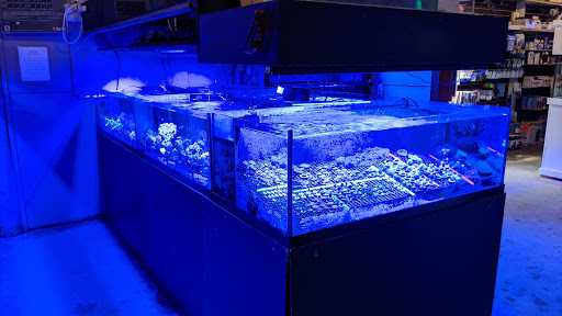 Tropical Fish Store «Blue Earth Corals & Aquariums», reviews and photos, 5791 Desoto Rd, Lake Worth, FL 33463, USA